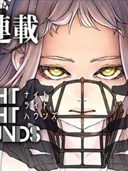 《别惹白鸽》短剧海报